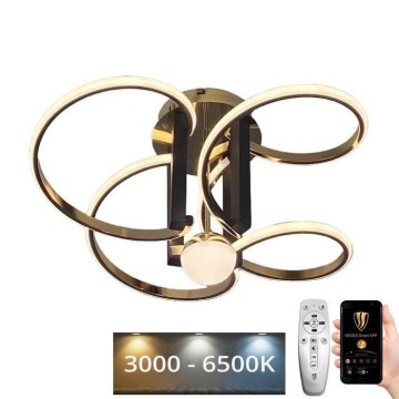 Dimbar LED ytmonterad ljuskrona LED/80W/230V 3000-6500K + fjärrkontroll
