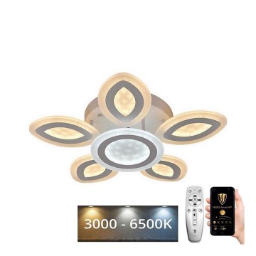 Dimbar LED ytmonterad ljuskrona LED/95W/230V 3000-6500K + fjärrkontroll