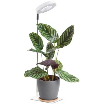 Dimmbar LED-bordslampa för växtodling VERDI LED/5W/5V 1300K CRI 95 vit