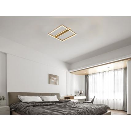 Dimmbar LED-taklampa 60W/230V 3000-6500K med fjärrkontroll