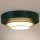 Duolla - LED taklampa LUNETA LED/26W/230V diameter 60 cm 4000K grön/guld/vit
