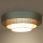 Duolla - LED taklampa LUNETA LED/26W/230V diameter 60 cm 4000K turkos/beige/grädde