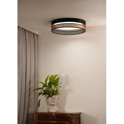 Duolla - LED taklampa ROLLER DUO SHINY LED/24W/230V diameter 45 cm svart/koppar