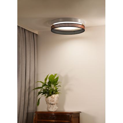Duolla - LED taklampa ROLLER DUO SHINY LED/24W/230V diameter 45 cm vit/koppar