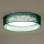 Duolla - LED taklampa ROLLER LED/24W/230V diameter 45 cm grön