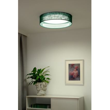 Duolla - LED taklampa ROLLER LED/24W/230V diameter 45 cm grön