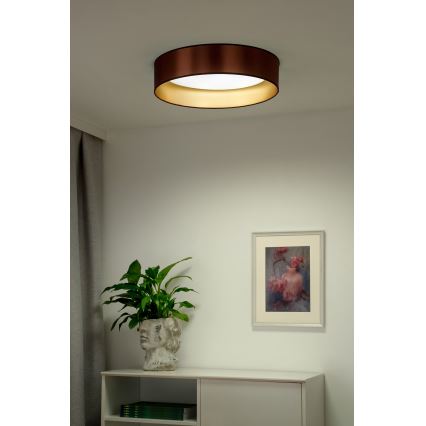 Duolla - LED taklampa ROLLER LED/24W/230V diameter 45 cm koppar/guld