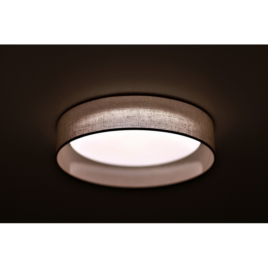 Duolla - LED taklampa ROLLER LED/24W/230V diameter 45 cm ljusgrå