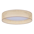 Duolla - LED taklampa ROLLER LED/24W/230V diameter 45 cm rotting