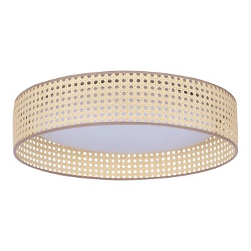 Duolla - LED taklampa ROLLER LED/24W/230V diameter 45 cm rotting