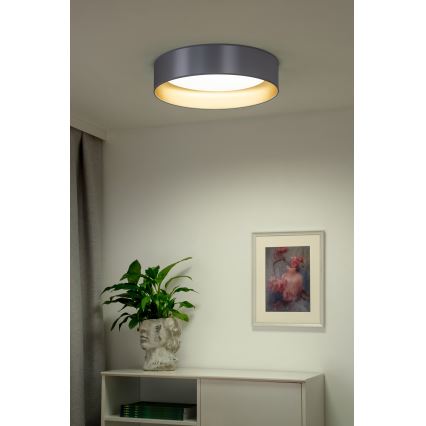 Duolla - LED taklampa ROLLER LED/24W/230V diameter 45 cm silver/guld