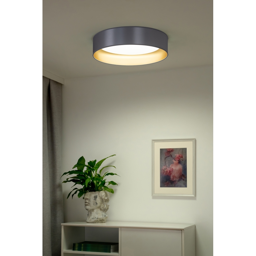 Duolla - LED taklampa ROLLER LED/24W/230V diameter 45 cm silver/guld