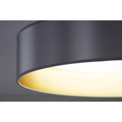 Duolla - LED taklampa ROLLER LED/24W/230V diameter 45 cm silver/guld