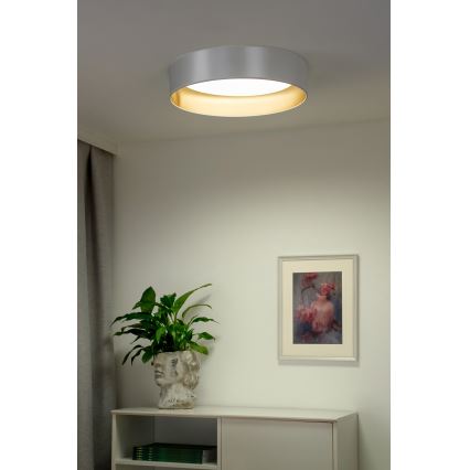 Duolla - LED taklampa ROLLER LED/24W/230V diameter 45 cm silver/guld