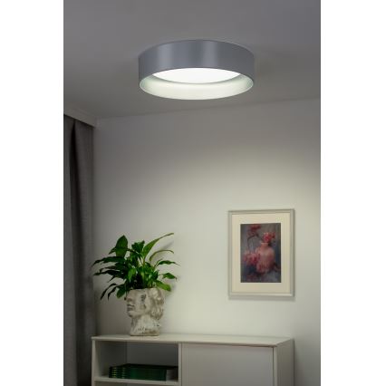 Duolla - LED taklampa ROLLER LED/24W/230V diameter 45 cm silver