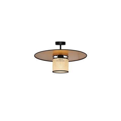 Duolla - Ytmonterad ljuskrona TOKYO RATTAN 1xE27/15W/230V diameter 50 cm guld/rotting