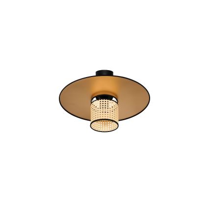 Duolla - Ytmonterad ljuskrona TOKYO RATTAN 1xE27/15W/230V diameter 50 cm guld/rotting