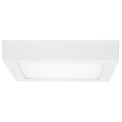 LED taklampa RAFA LED/12W/230V 3000/4000/6000K 17x17 cm vit