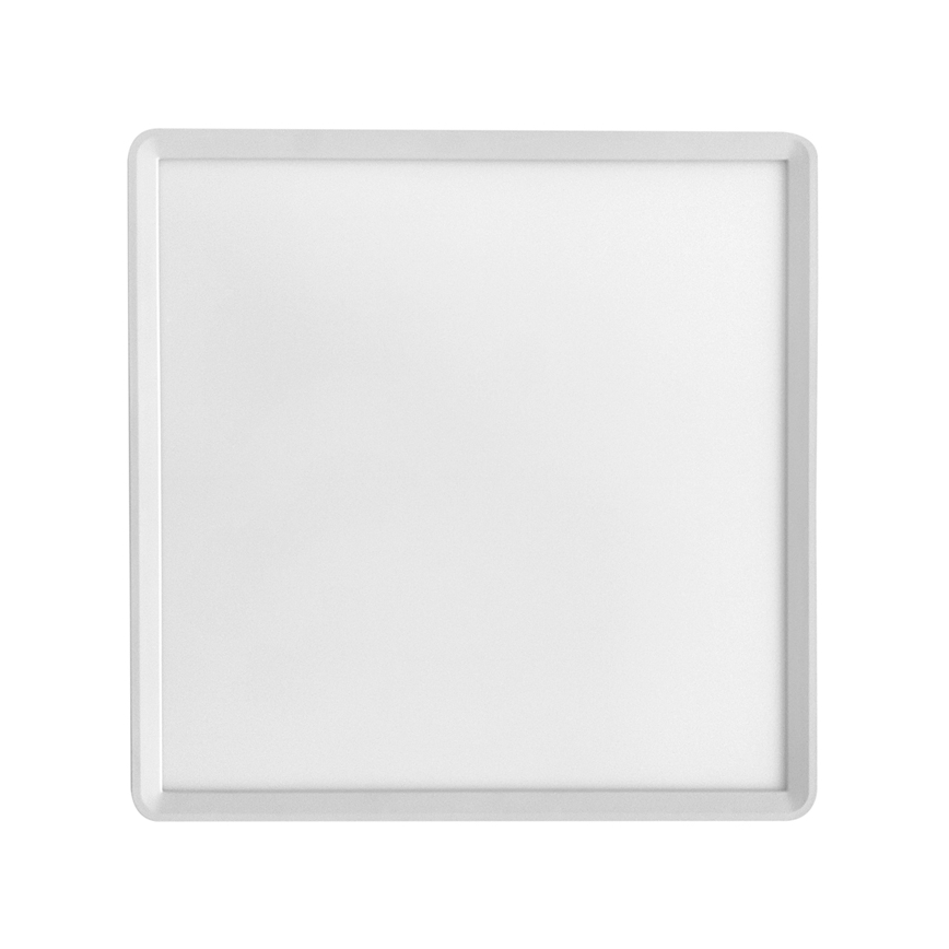 LED taklampa TERY LED/40W/230V 3000/4000/6000K 50x50 cm IP40 vit