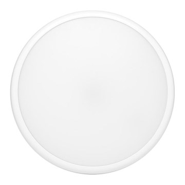 Ecolite WHST707-LED/HF - LED Utomhus Takbelysning med sensor