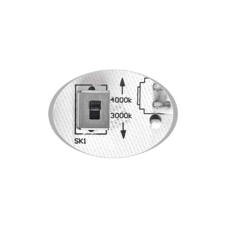 LED taklampa för utomhusbruk MARTIN LED/15W/230V 3000/4000K diameter 30 cm IP65 vit