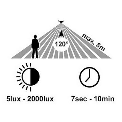 LED Utomhus vägglampa med sensor RITA LED/12W/230V 4000K IP65