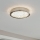 Eglo 32047 - LED Taklampa AREZZO 2 LED/17,92W/230V