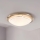 Eglo 32094 - LED taklampa PLANET LED/11W/230V 3000K matt krom