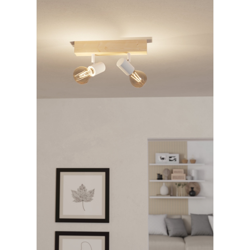 Eglo 33169 - Spotlight TOWNSHEND 3 TOWNSHEND 2xE27/60W/230V
