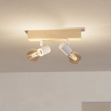 Eglo 33169 - Spotlight TOWNSHEND 3 TOWNSHEND 2xE27/60W/230V