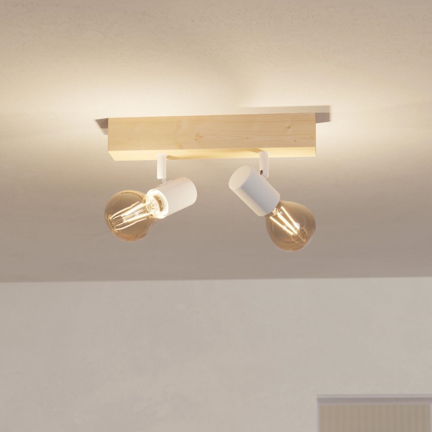 Eglo 33169 - Spotlight TOWNSHEND 3 TOWNSHEND 2xE27/60W/230V