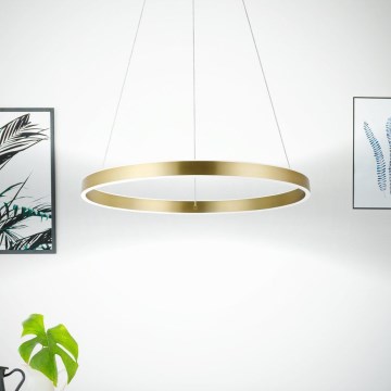 Eglo 33484 - ALCAZABA LED-ljuskrona på vajer, 2x LED, 18 W, 230 V, 3000 K (varmvitt), Ø 55 cm, guld