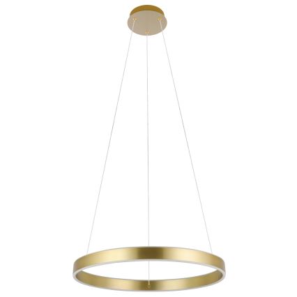 Eglo 33484 - ALCAZABA LED-ljuskrona på vajer, 2x LED, 18 W, 230 V, 3000 K (varmvitt), Ø 55 cm, guld