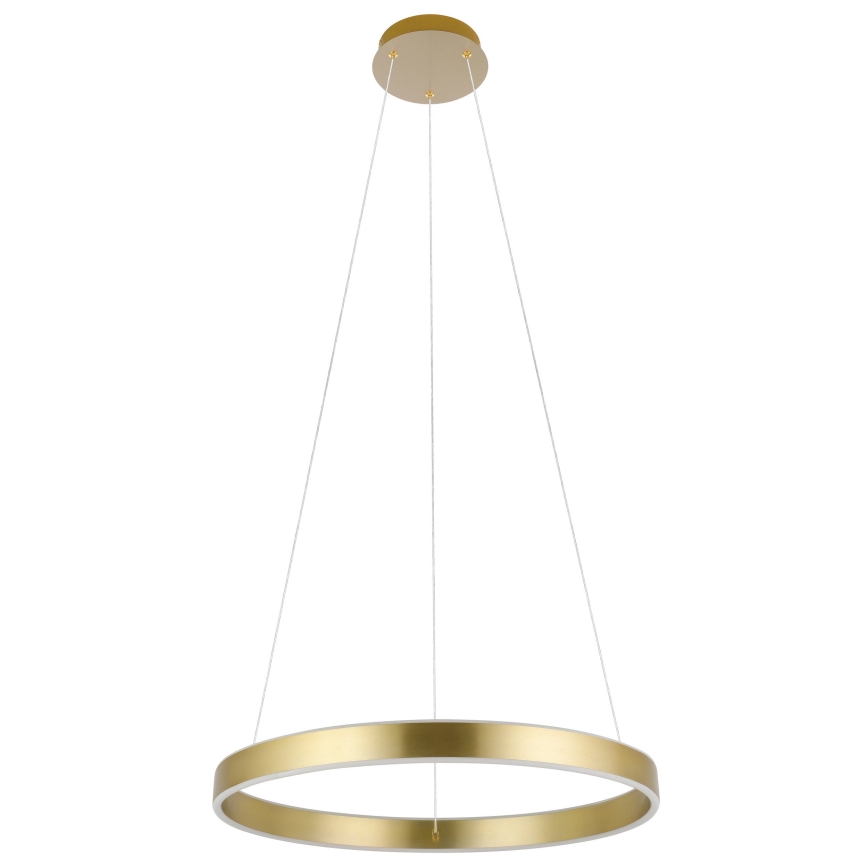 Eglo 33484 - ALCAZABA LED-ljuskrona på vajer, 2x LED, 18 W, 230 V, 3000 K (varmvitt), Ø 55 cm, guld