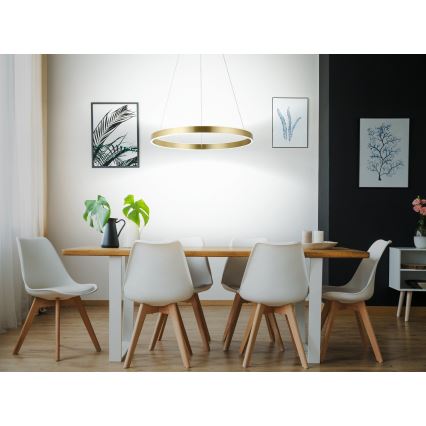 Eglo 33484 - ALCAZABA LED-ljuskrona på vajer, 2x LED, 18 W, 230 V, 3000 K (varmvitt), Ø 55 cm, guld