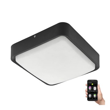 Eglo 33573 - LED Ljusreglerad utomhus tak belysning PIOVE-C LED/14W/230V IP44