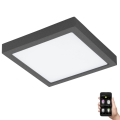 Eglo 33578- LED Dimbar badrumslampa ARGOLIS-C LED/22W/230V IP44 antracit