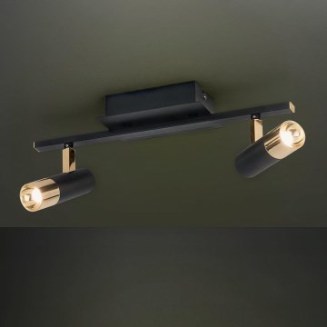 Eglo 39145 - LED spotlight TOMARES 2xLED/5W/230V/12V