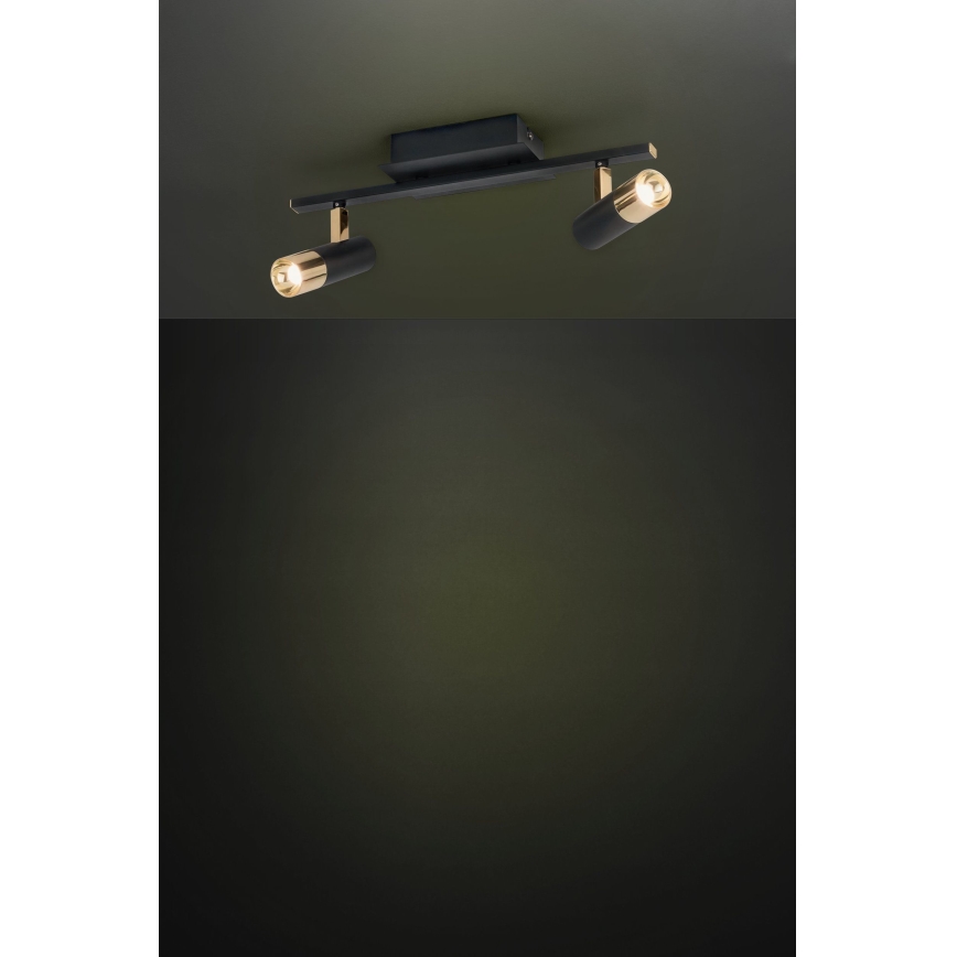 Eglo 39145 - LED spotlight TOMARES 2xLED/5W/230V/12V