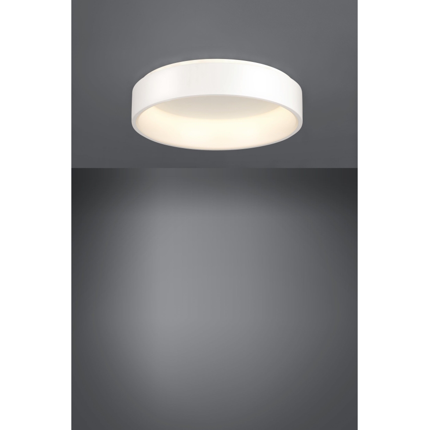 Eglo - LED Dimbar taklampa 1 LED/35,2W/230V