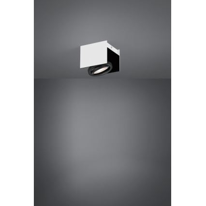 Eglo - LED ljusreglerad spotlight LED/5,4W/230V