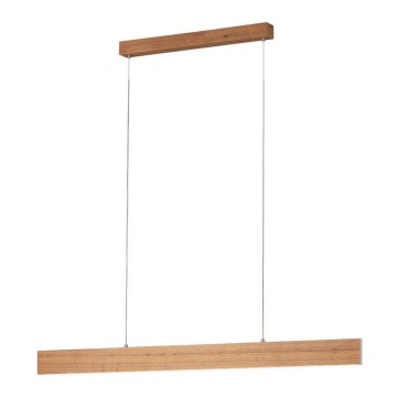 Eglo 39347 - Dimbar LED-lampakrona med snöre CLIMENE LED/21W/230V + LED/8,4W