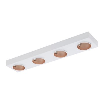 Eglo 39376 - LED Dimbar Takbelysning RONZANO 4xLED/3,3W/230V