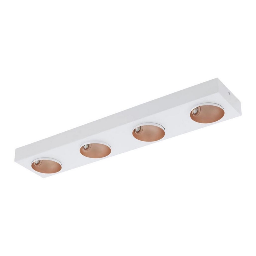 Eglo 39376 - LED Dimbar Takbelysning RONZANO 4xLED/3,3W/230V