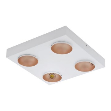 Eglo 39377 - LED Dimbar Takbelysning RONZANO 4xLED/3,3W/230V