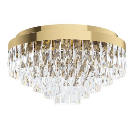 Eglo - Takbelysning 8xE14/40W/230V guld