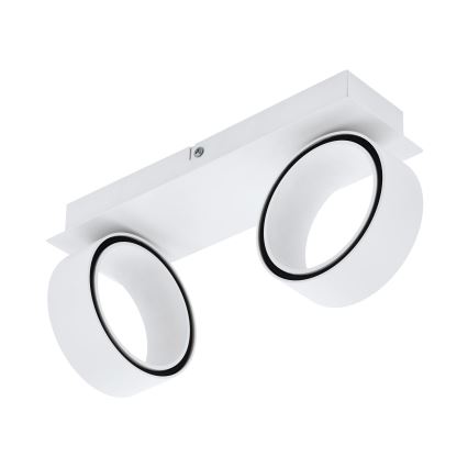 Eglo - LED spotlight 2xLED/4,6W/230V 3000K