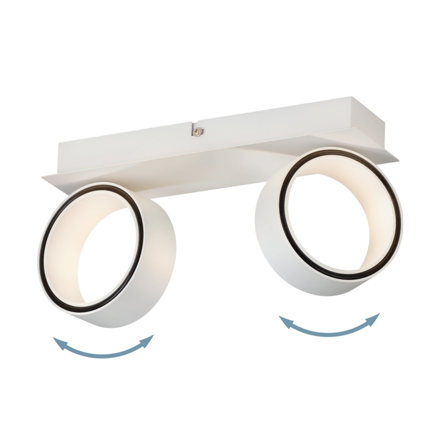 Eglo - LED spotlight 2xLED/4,6W/230V 3000K