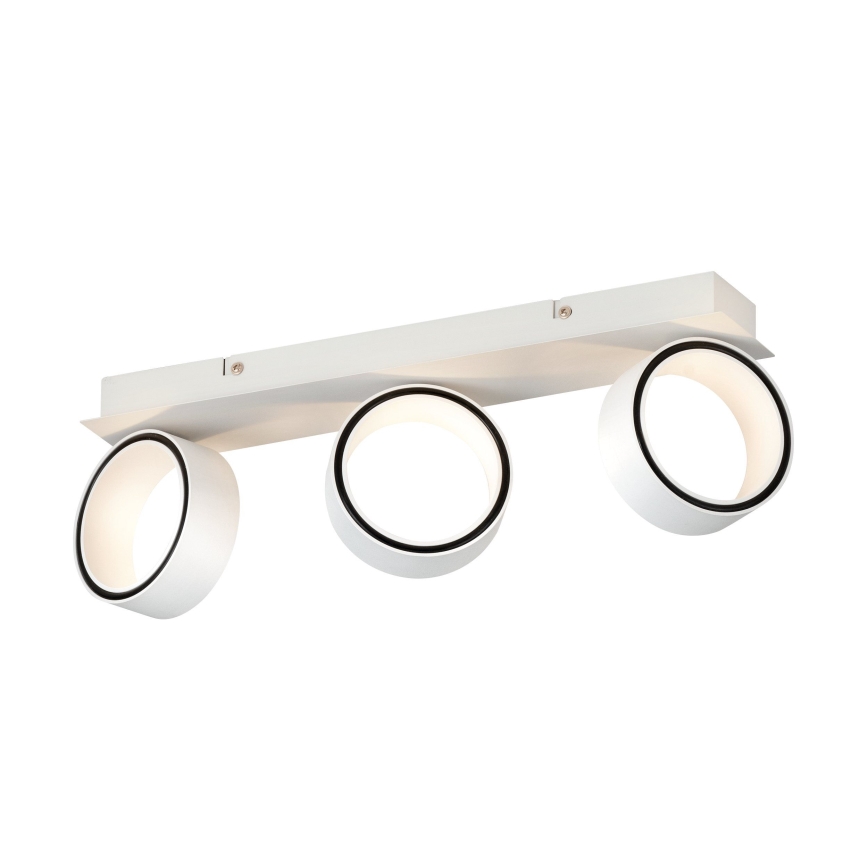 Eglo - LED spotlight 3xLED/4,6W/230V 3000K
