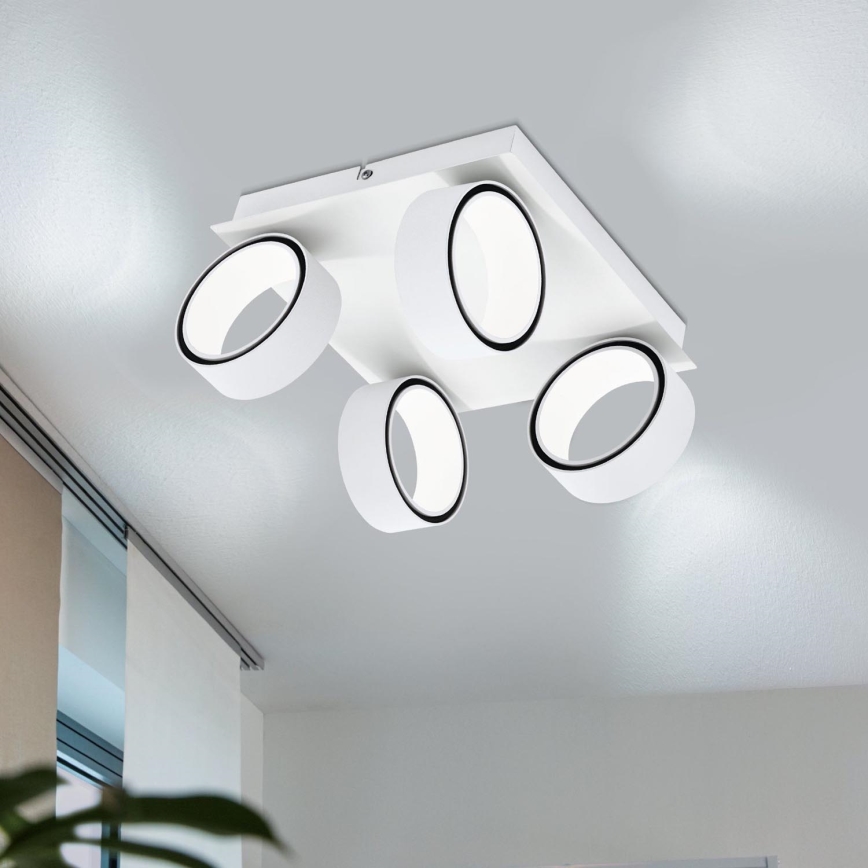 Eglo 39587 - LED spotlight ALBARIZA 4xLED/4,6W/230V